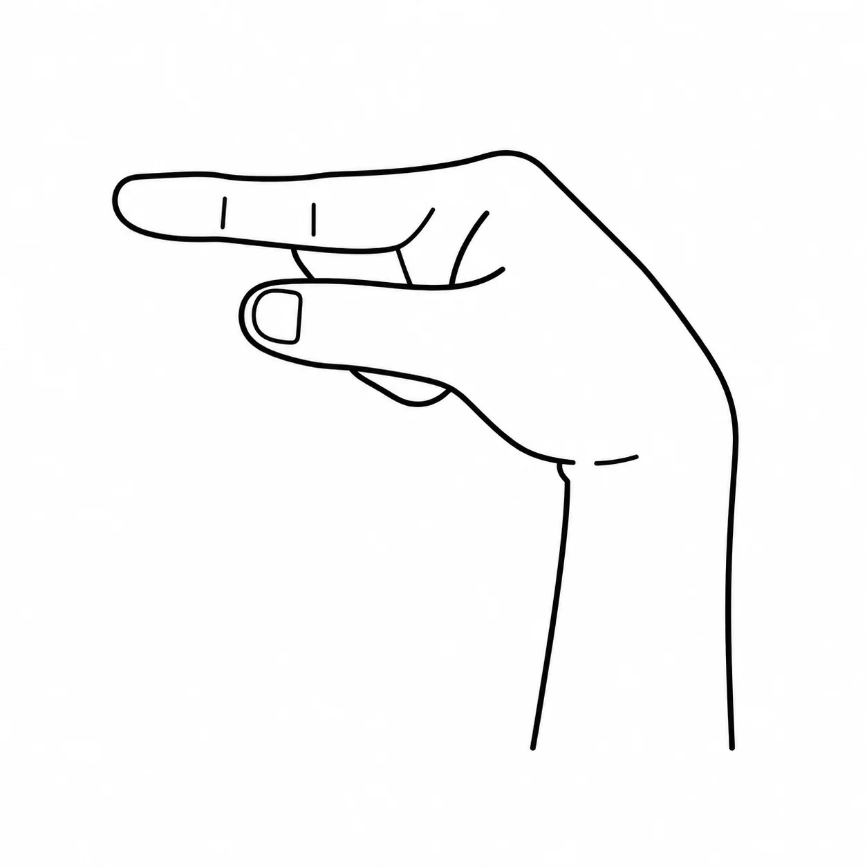 ASL letter G handshape