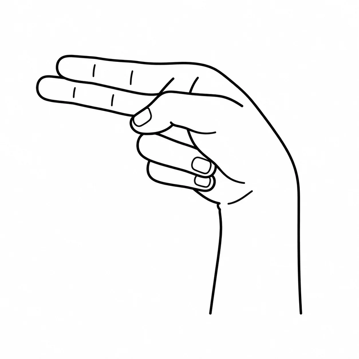 ASL letter H handshape
